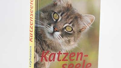 Das Buch "Katzenseele" von Paul Leyhausen