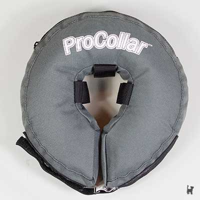 ProCollar Schutzkragen