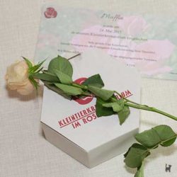 Katzenurne mit gelber Rose