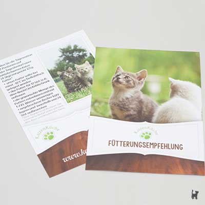 Katzenküche Flyer