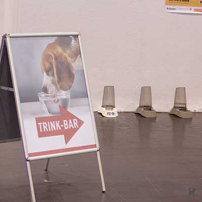 Trinkbar für Hunde