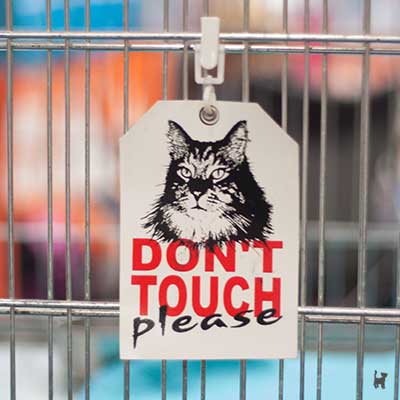 Aufhänger 'don't touch please' an einem Ausstellungskäfig