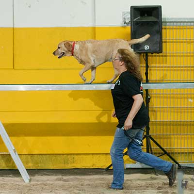 Dogagility: Hund läuft neben Halterin auf Laufsteg