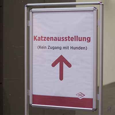 Wegweiser zur Katzenausstellung