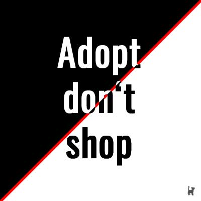 Slogan "Adopt don't shop"