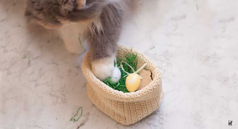 Katze spielt mit Osterdeko