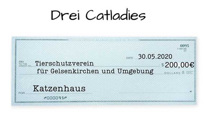 Symbolbild Spendenscheck über 200€