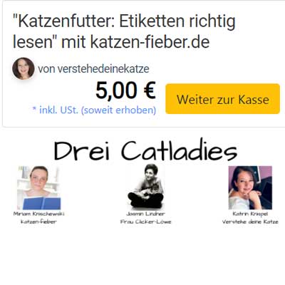 Screenshot elopage Kaufübersicht