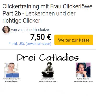 Screenshot elopage Kaufübersicht