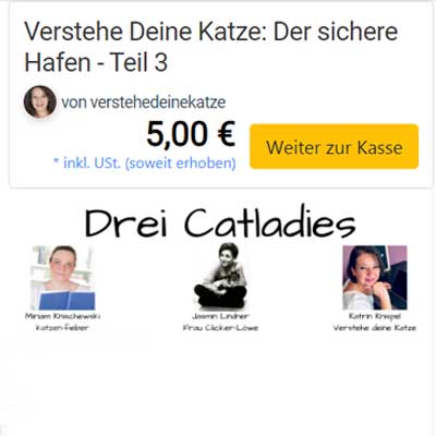 Screenshot elopage Kaufübersicht