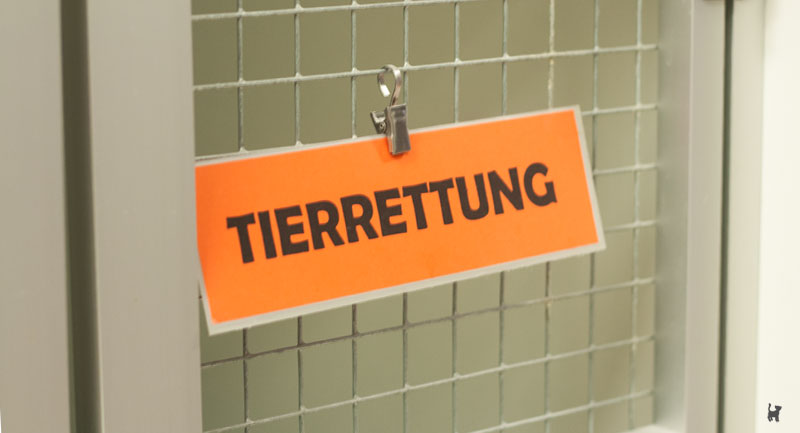 Metallbox mit Aufschrift "Tierrettung"