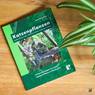 Cover des Buchs "Katzenpflanzen" von Sabine Ruthenfranz