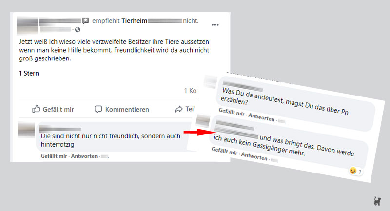 Screenshot beleidigende Kritik an Tierheim