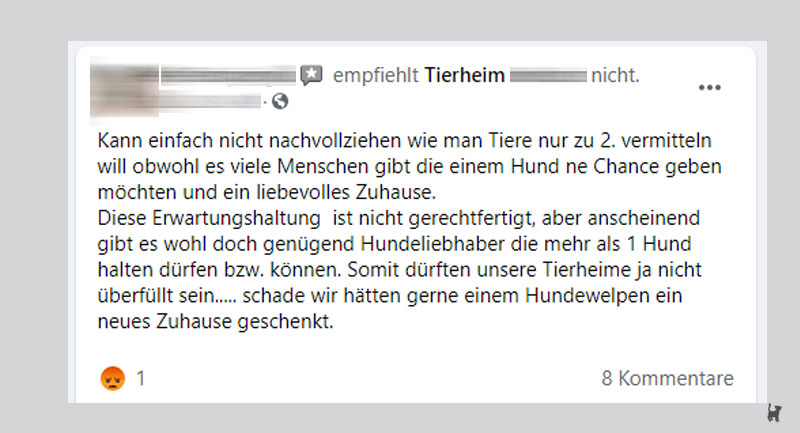 Screenshot Kritik an Tierheim