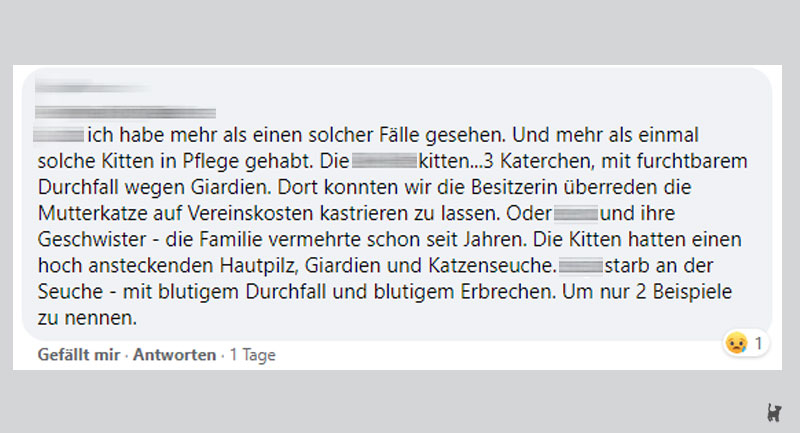 Screenshot Erfahrungen einer Tierschutzmitarbeiterin