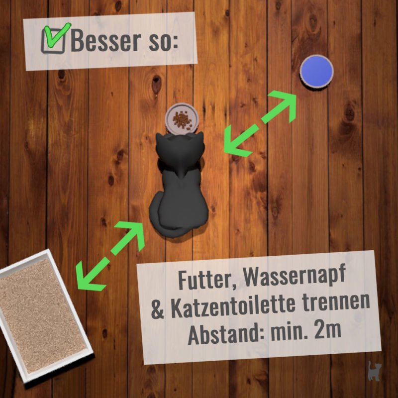 Besser so: Der Abstand zwischen Fressplatz, Wassernäpfe und Katzentoilette sollte mindestens 2 Meter betragen