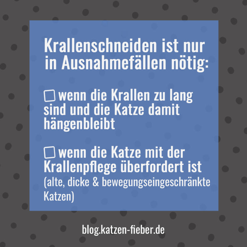 Krallenschneiden ist nur in Ausnahmefällen nötig