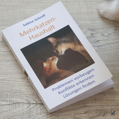 Das neue Buch von Sabine Schroll "Mehrkatzenhaushalt"