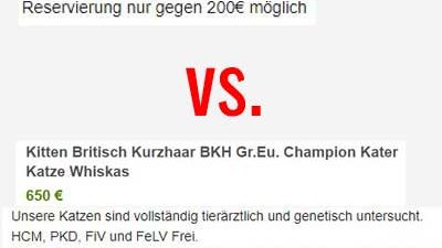 Ausschnitte aus zwei Kleinanzeigen zum Katzenkauf: einmal mit viel Gesundheitsvorsorge, einmal mit extrem wenig - für den gleichen Preis