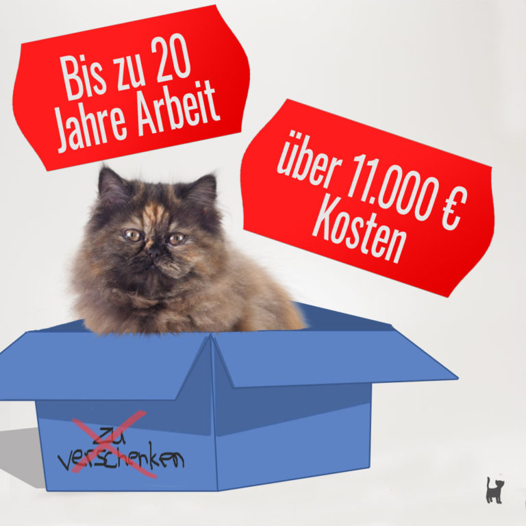 Katze in Karton mit Preisetiketten: 20 Jahre Arbeit, bis zu 11.000€ Kosten