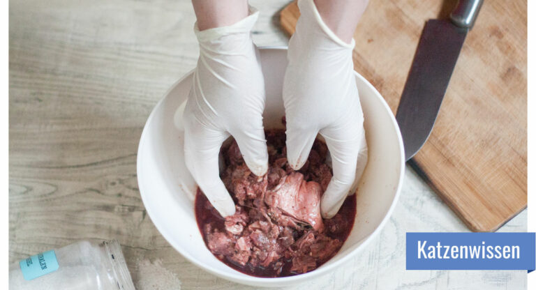 Zwei Hände in Einmalhandschuhen mischen Fleisch in einer Schüssel, daneben liegen ein Schneidebrett aus Holz und ein großes Messer