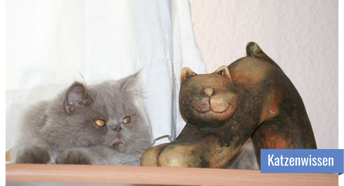 Liegende Katze schaut Porzellankatze an