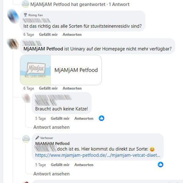 Screenshot der Kommentarspalte auf der Mjamjam-Facebookseite