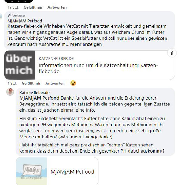 Screenshot der Kommentarspalte auf der Mjamjam-Facebookseite