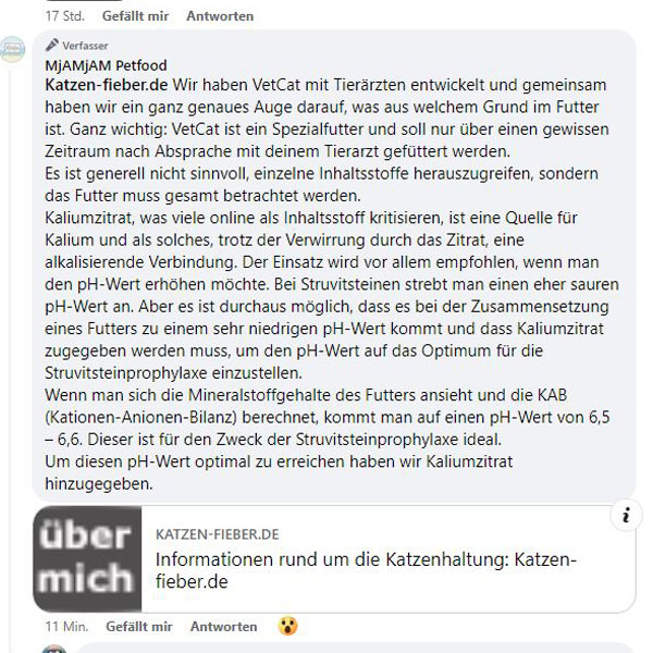 Screenshot der Kommentarspalte auf der Mjamjam-Facebookseite