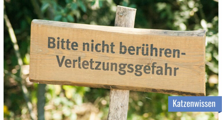 Holzschild mit der Aufschrift "Bitte nicht berühren - Verletzungsgefahr"