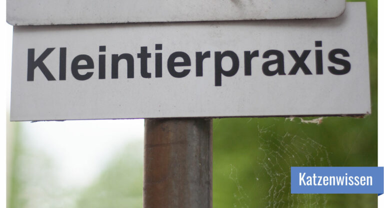 Ein Schild, auf dem "Kleintierpraxis" steht