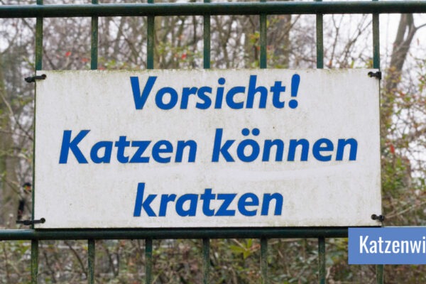 Ein Schild auf dem "Vorsicht! Katzen können kratzen" steht