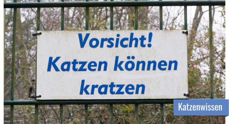 Ein Schild auf dem "Vorsicht! Katzen können kratzen" steht